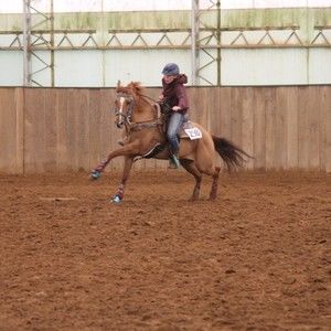 Meet your Posher, Trista